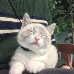 おだやかをんだ