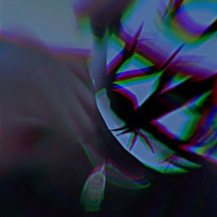 HEDN