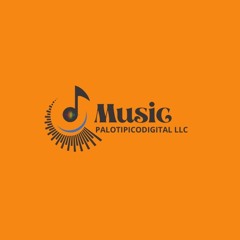 PALOTIPICODIGITAL LLC