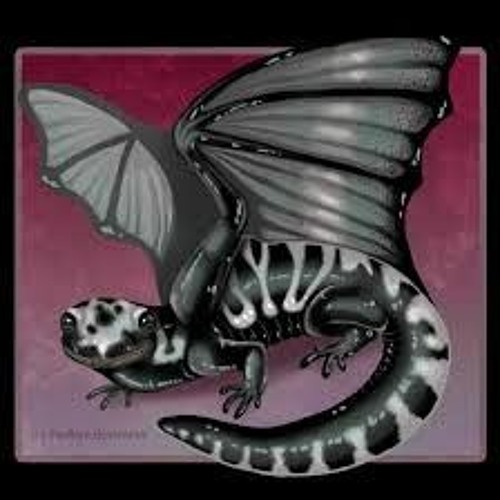 LanceAlMist/SalamanderDragian/DragonGOD’s avatar