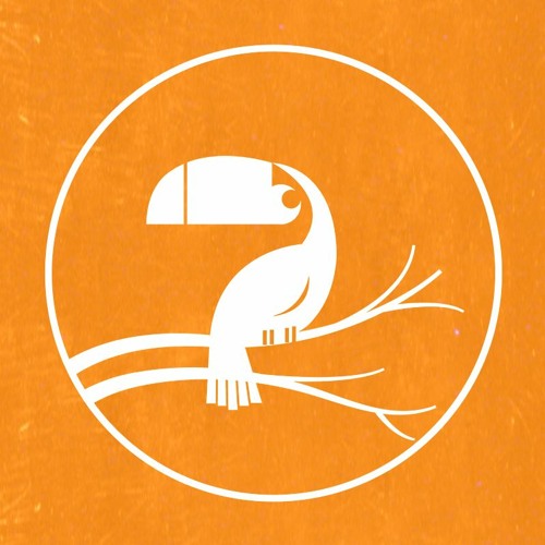 Aviary Bridge Records’s avatar