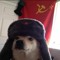 Comrade_Doge