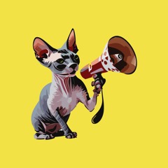 Walker Vreeland Productions