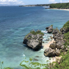 dzalsaleh