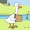Lil Duck