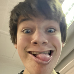 Kamelen_000