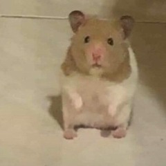 tnguyen