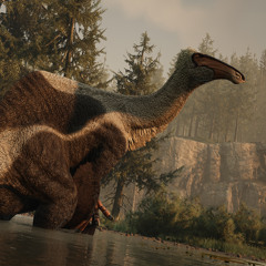 MajorCheirus