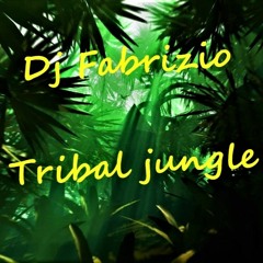 dj fabrizio2020