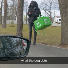 Ronny Rollers/Ron Derrick Hibus