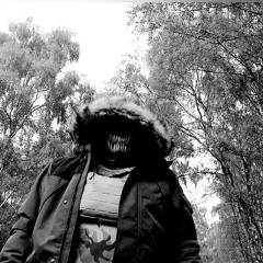 RZ DNB