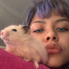 Andii d luffy