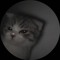 Suchperson_1B