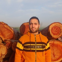 hema ahmed