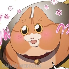 Kori. 〘24日 10月 2025.〙