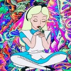 ๐๐ฟ๐๐๐(face rev at 700)