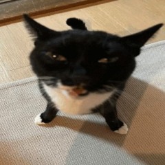 cat eater