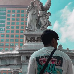 V I Z E D