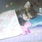 Aseel