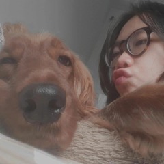 Bbbrownie
