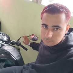 Vitor Mendes matos