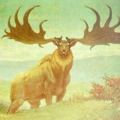 Wapiti