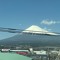 FlamingTiger 963