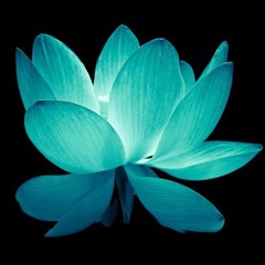 𝔰𝔶𝔭𝔯𝔦.