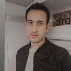 Alaa elden Elshafae
