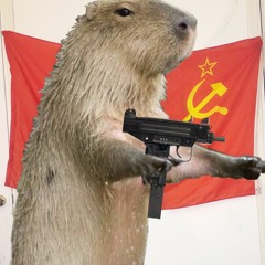 Capivara_comuna