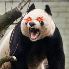 PandaBrrr