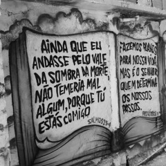 Mnrp22 🍀