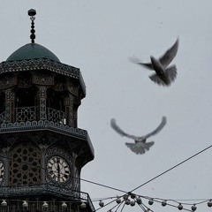 البتول مهدي