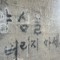 멋쟁이하람