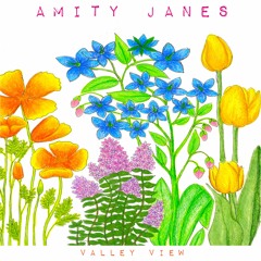 Amity Janes