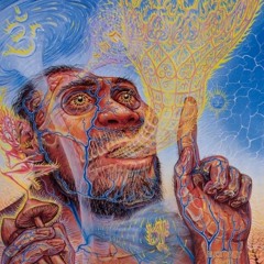 ØKAMI KØN & DENEIR