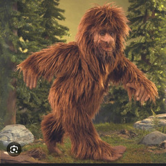 bigfoot🤡