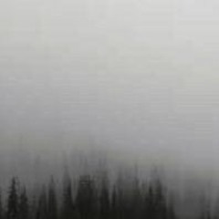 Sigurd39dickinsonlwp