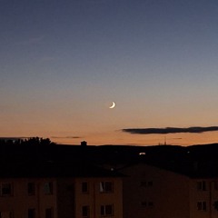 MondDrache