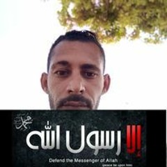 محمد السيد نوح