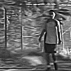 Analog horror ahh pfp
