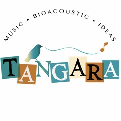 Tangara Music