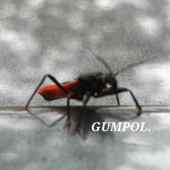 GUMPOL.