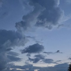 HappyBeavers Juleströg