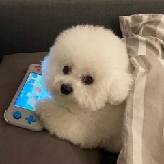 하유민