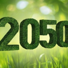 2050