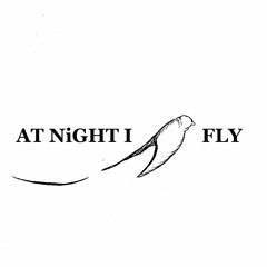 AT NiGHT I FLY
