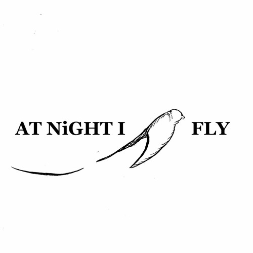 AT NiGHT I FLY’s avatar