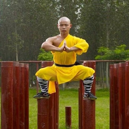 shaolin’s avatar