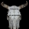 Tulipe